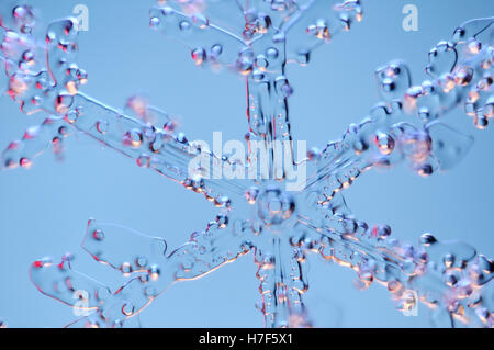 Snowflake magnified under microscope Stock Photo