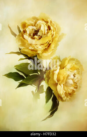 Digital painting of beautiful yellow peonies. Stock Photo