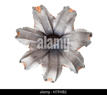 Hollow point bullet that has hit a target and expanded isolated on white Stock Photo