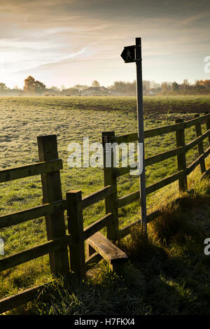 UK, England, Cheshire, Sandbach, Sandbach Heath, autumn, stile and public footpath across misty autumnal fields Stock Photo