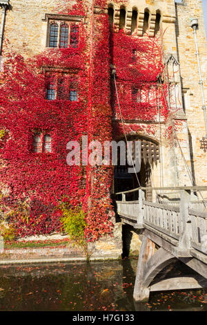 Hever Castle clad with red autumnal virginia creeper: Blue sky / sunny skies / sun & drawbridge / draw bridge over moat. Kent UK Stock Photo