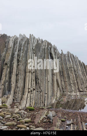 Small flysch at the coast of Zumaia (Pais Vasco, Spain). Stock Photo