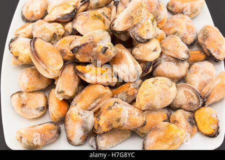 Frozen Mussels on a Plate Closeup. Stock Photo