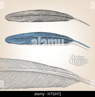 Vector illustration of feather in vintage engraving style on isolated background. Stock Vector