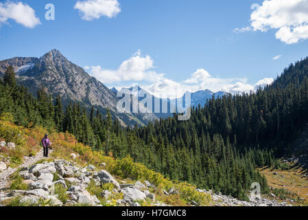 A female hiker on a mountain trail in the North Cascades National Park, Washington state, USA. Stock Photo