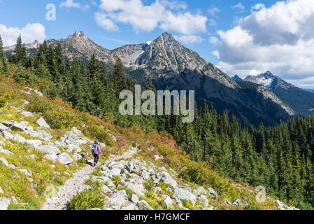 A female hiker on a mountain trail in the North Cascades National Park, Washington state, USA. Stock Photo