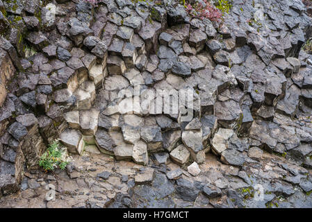 Cross section of columnar joints in volcanic rocks. Mt Baker Wildness Area. Washington, USA. Stock Photo