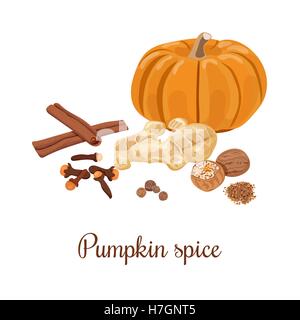 Pumpkin spice. Vector illustration. Nutmeg, ginger, cloves, cinnamon, allspice. Spices set. For food design, restaurant cafe Can Stock Vector
