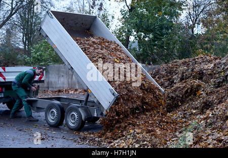 Neumunster, Germany. 4th Nov, 2016. An employee of a gardening firm dumps autumn leaves on the premises of the recycling yard of the municipial utilities in Neumunster, Germany, 4 November 2016. PHOTO: CARSTEN REHDER/dpa/Alamy Live News Stock Photo