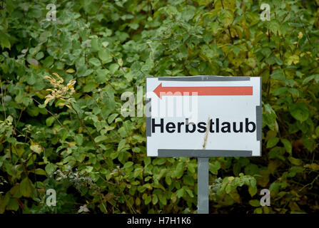 Neumunster, Germany. 4th Nov, 2016. A sign reading 'Autumn leaves' stands on the premises of the recycling yard of the municipial utilities in Neumunster, Germany, 4 November 2016. Private hosueholds can dump their collected autumn leaves there for free until the end of November. PHOTO: CARSTEN REHDER/dpa/Alamy Live News Stock Photo