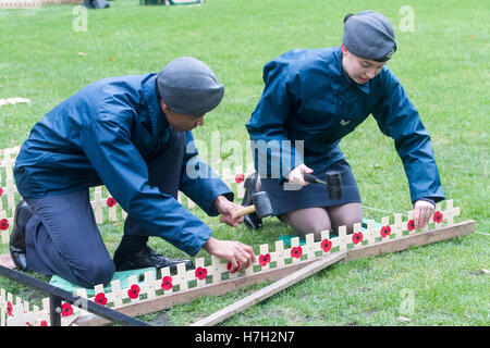 London, UK. 5th Nov, 2016. British Legion volunteers plant remembrance crosses with poppies at Westminster Abbey for Remembrance Sunday celebrations to remember the members of British and Commonwealth armed forces who have died in the line of duty in previous conflicts Credit:  amer ghazzal/Alamy Live News Stock Photo