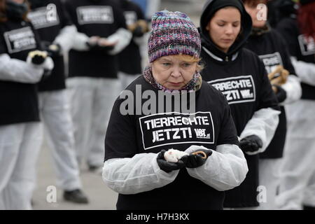 Vienna, Austria. 5thNovember, 2016. 600 men were stationed and kept a dead animal in their arms for an hour, The dead animals are chemically treated and cooled, so do not smell. Credit:  Franz Perc/Alamy Live News Stock Photo