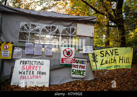 Leith Hill, UK. 5th November, 2016. The Leith Hill Protection Camp, near Holmwood in Surrey. Environmental activists occupying the site are protesting against plans by Europa Oil and Gas to drill and test for oil in Bury Hill Wood. Credit:  Mark Kerrison/Alamy Live News Stock Photo