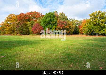 A park in Virginia Water in fall colors, Surrey, UK Stock Photo