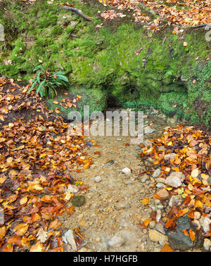 Natural fresh spring water emerging from a rock face and spilling into ...