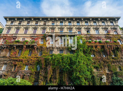 Old green building covered with ivy in Milan city Stock Photo