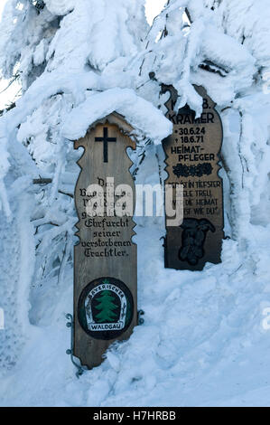 Snowy dead boards on the Grosser Arber, 1456m, Bavarian Forest Nature Park, Bavaria Stock Photo