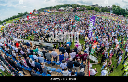 The 130th Durham Miners' Gala, Durham, England 2014, a large annual gathering of trade unionists on the second Saturday in July Stock Photo