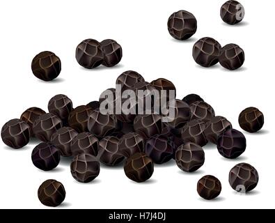 Realistic black pepper closeup vector illustration on white background Stock Vector