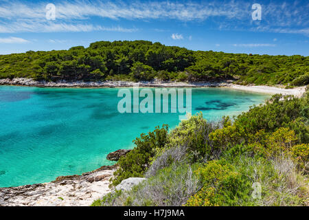 Pakleni islands. Paklinski otoci. Coast with Mediterranean vegetation. Adriatic sea. Croatia. Europe. Stock Photo