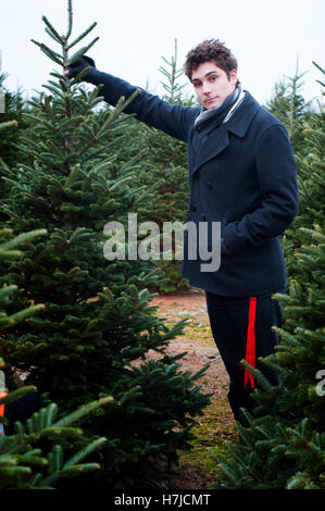 teenage boy finds a christmas tree at a cut your own farm Stock Photo