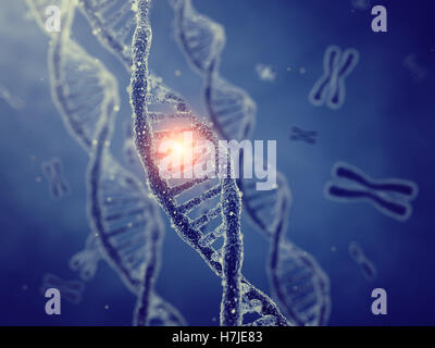 Dna double helix molecules and chromosomes , Gene mutation , Genetic code Stock Photo