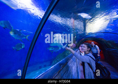 Malta National Aquarium, Qawra-Buggiba. Walk through tunnel. Stock Photo