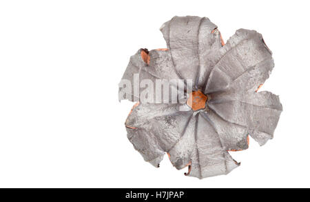 Hollow point bullet with a copper jacket that has expanded Stock Photo