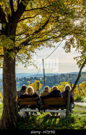 Group of Male and Female Seniors Sitting on Bench with View in Autumn Stock Photo