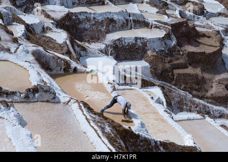 Worker extracting manually salt from the Maras salt ponds located at the Peru's Sacred Valley. October 18, 2012 - Maras, Peru Stock Photo