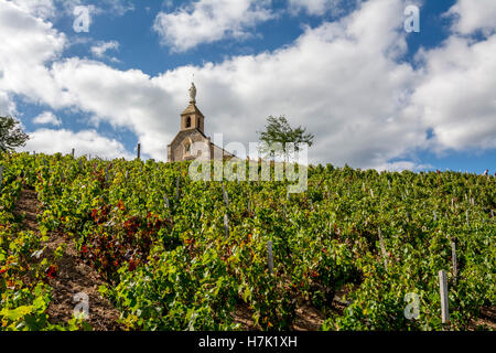 The chapel La Madone at Fleurie village, Beaujolais vineyard ...