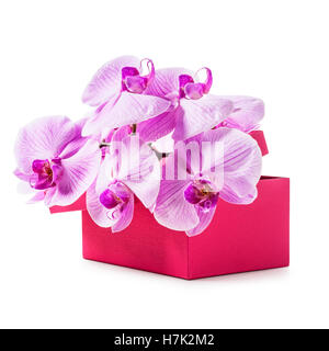 Pink gift box with orchid flowers. Luxury holiday present. Object isolated on white background clipping path included Stock Photo