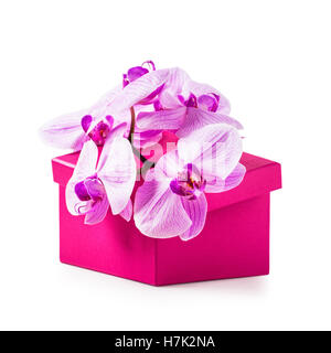Pink gift box with orchid flowers. Luxury holiday present. Object isolated on white background clipping path included Stock Photo