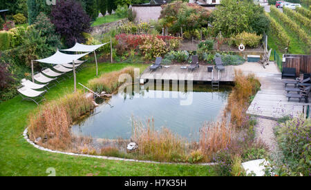 Ecological swimming pool. Plants are used to keep the water clean Photographed in Austria Stock Photo