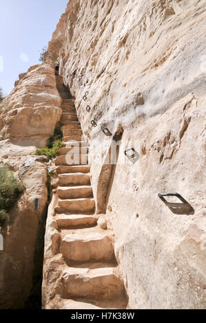 Ein Avdat, sweet water spring in the negev desert, israel near Kibbutz Sde Boker Stock Photo