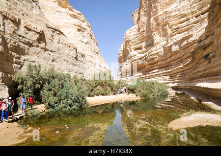 Ein Avdat, sweet water spring in the negev desert, israel near Kibbutz Sde Boker Stock Photo