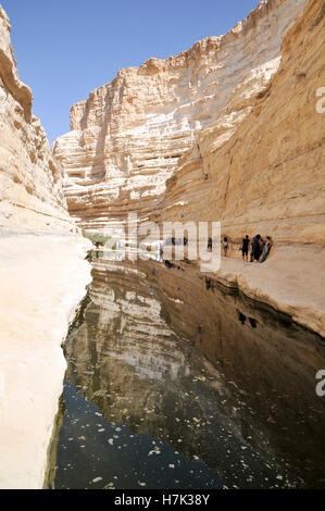 Ein Avdat, sweet water spring in the negev desert, israel near Kibbutz Sde Boker Stock Photo