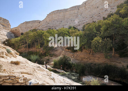 Ein Avdat, sweet water spring in the negev desert, israel near Kibbutz Sde Boker Stock Photo