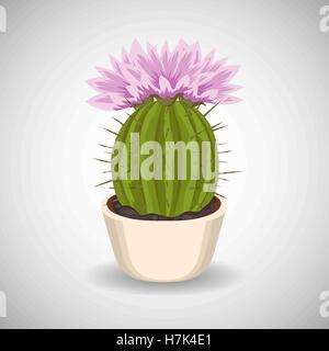 Cactus with beautiful pink flowers in flower pot. Stock Vector