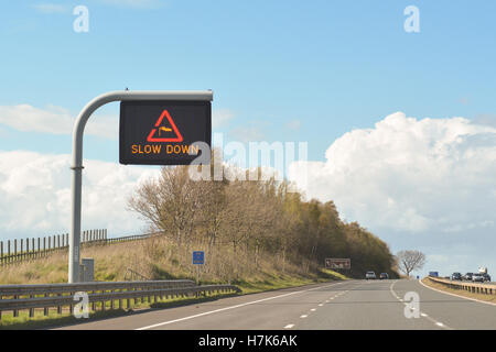 side wind cross wind motorway traffic warning sign - uk Stock Photo