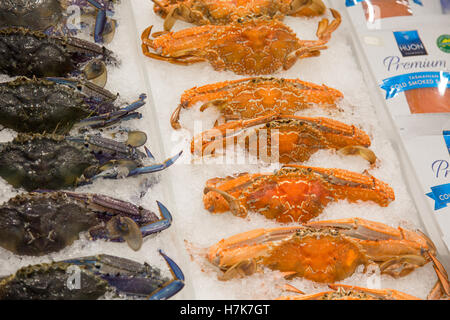 Raw and cooked Blue swimmer crab  Portunus pelagicus in a Sydney fishmonger, New south wales,Australia Stock Photo