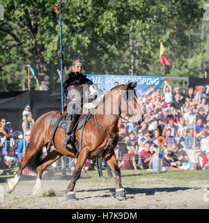 Söderköpings Gästabud, a medieval festival with medieval style tournament is an annual event since 2006 in Söderköping, Sweden Stock Photo