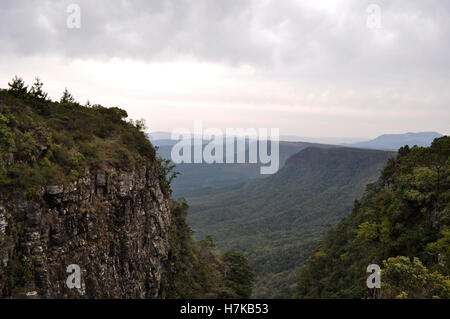 South Africa, Mpumalanga: the green view from God’s Window, one of the most scenic viewpoint in the Blyde River Canyon Nature Reserve Stock Photo