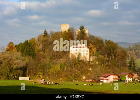 Reith im Alpbachtal: Kropfsberg Castle, Alpbachtal & Tiroler Seenland Region, Tirol, Tyrol, Austria Stock Photo