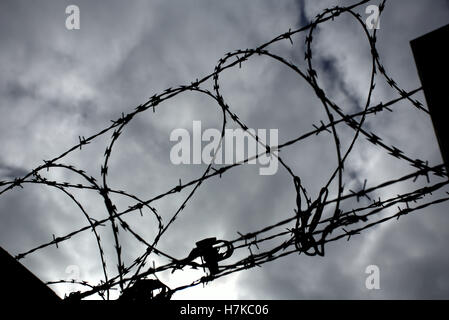 heart shaped razor wire barbed wire grey sky Stock Photo