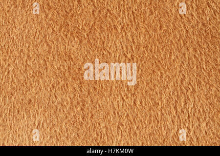 Light brown lama wool fabric texture. Macro Stock Photo