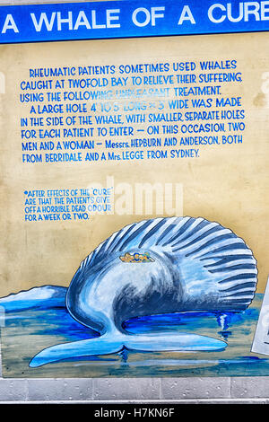 A past rheumatism cure using whales, Eden Killer Whales Museum, New South Wales, NSW, Australia Stock Photo