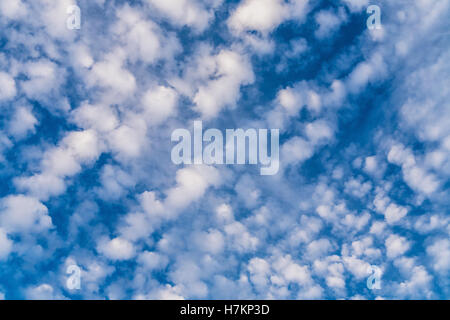 Abstract fluffy altocumulus clouds in lines texture background. Sunny summer day. Stock Photo
