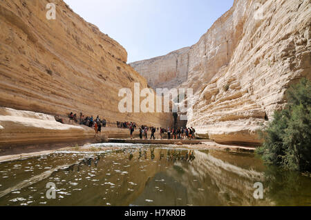 Ein Avdat, sweet water spring in the negev desert, israel near Kibbutz Sde Boker Stock Photo