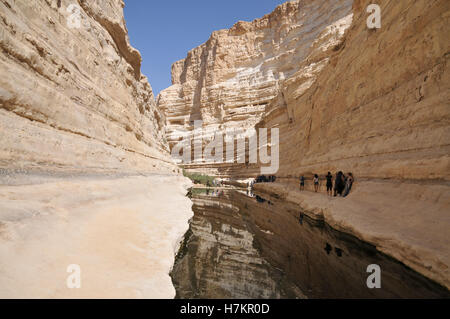 Ein Avdat, sweet water spring in the negev desert, israel near Kibbutz Sde Boker Stock Photo